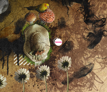 【使用说明】完整的在线短信电话轰炸机